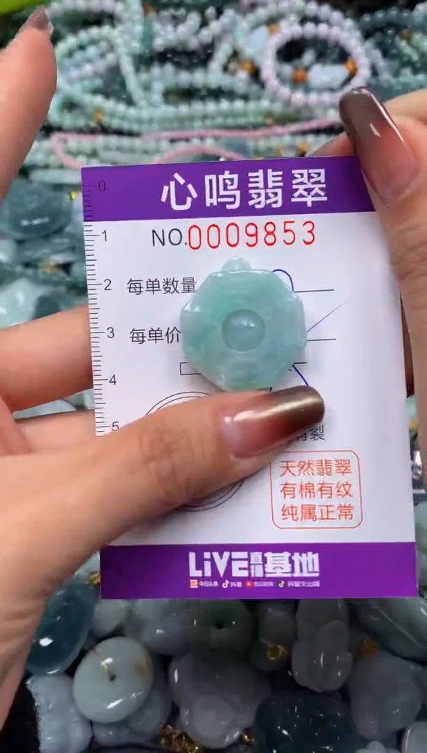 颈饰未镶嵌翡翠闪购009853