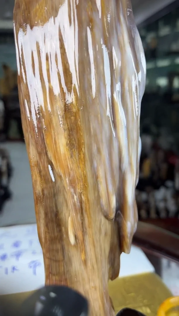 未镶嵌珠宝奇石硅化玉缅甸天然树化玉摆件