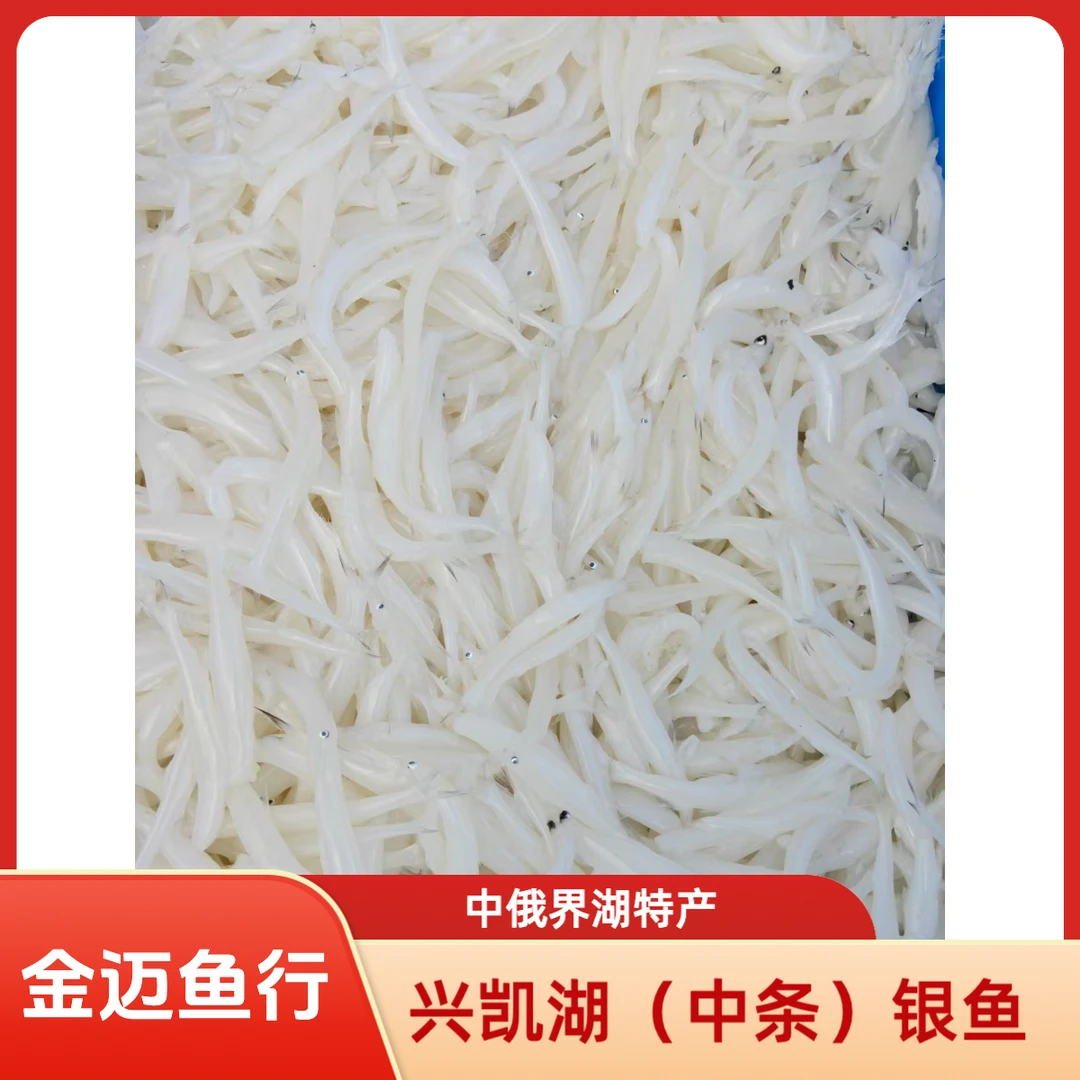 兴凯湖淡水中条银鱼·黑吉辽京津冀顺丰包邮