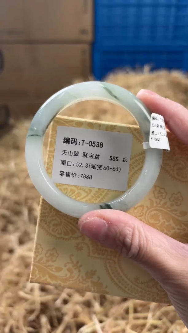 未镶嵌手镯石英质玉T-0538