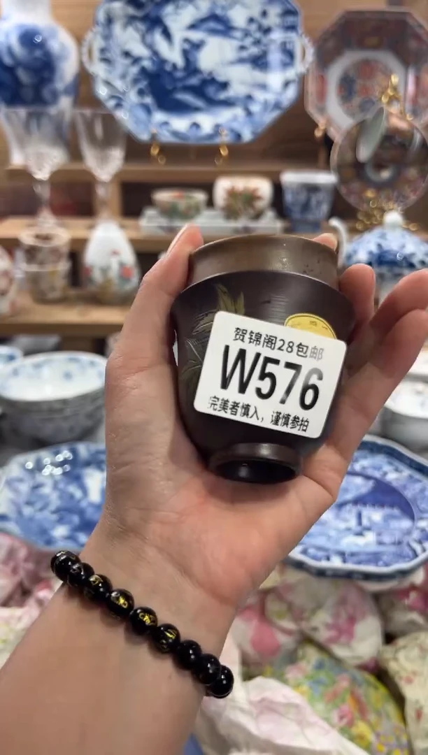 瓷片（****。      W576