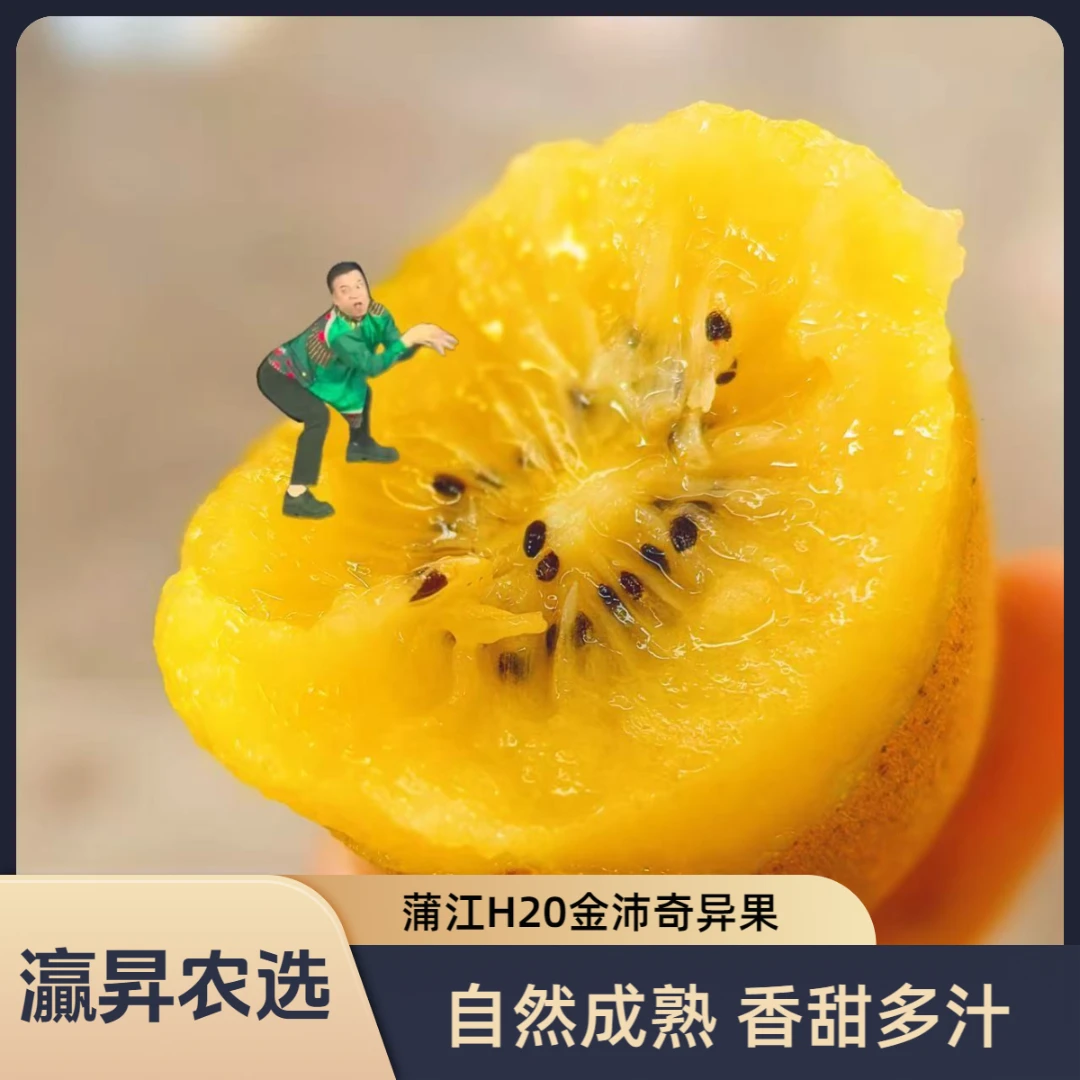 【金沛奇异果】蒲江新品种H20金沛奇异果【核心产区】