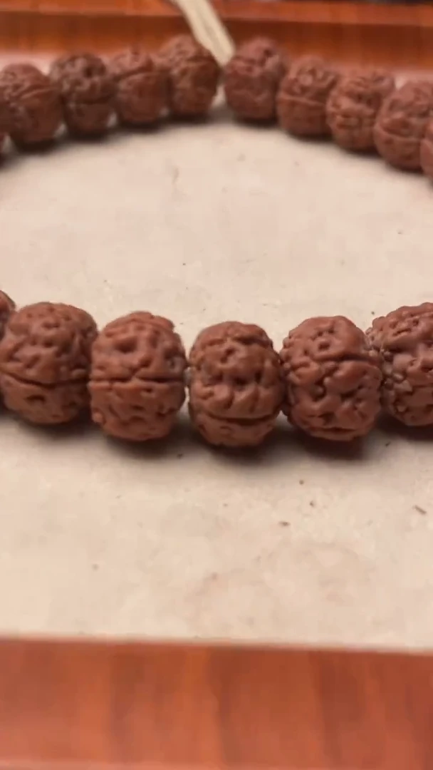 吊坠金刚菩提勿里达纯血老树王单圈