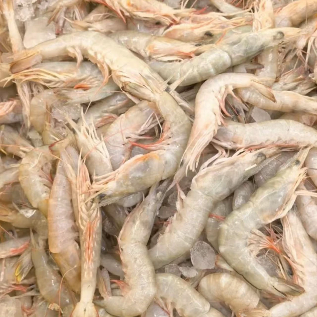 【魏来海鲜】野生沙虾 鲜甜可口 泉州发货沙卢虾顺丰新鲜到家