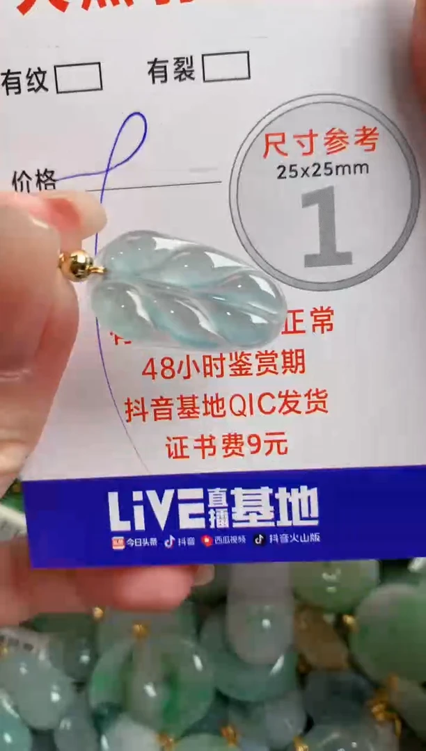 翡翠未镶嵌颈饰14004714