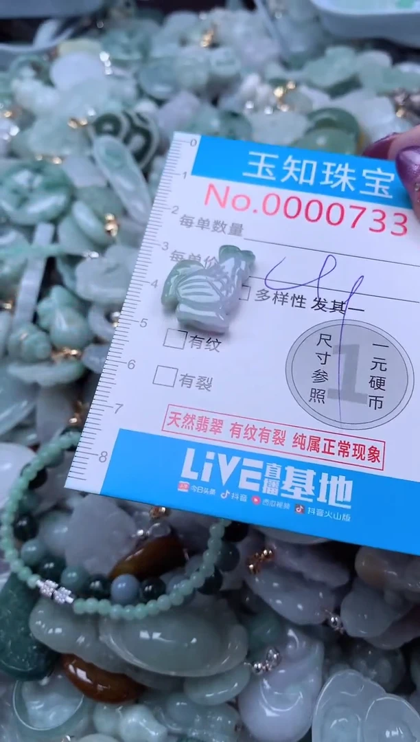 翡翠未镶嵌吊坠(不含链)733