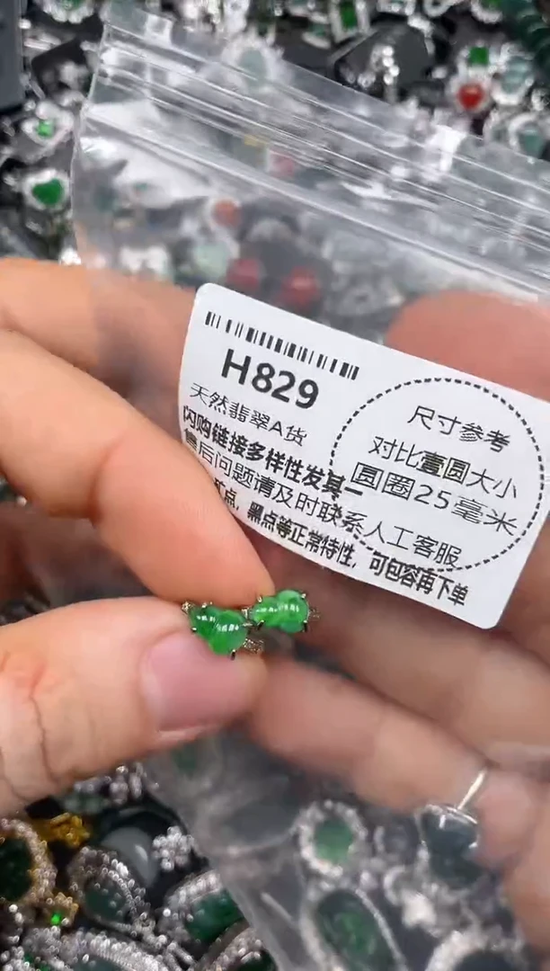 颈饰未镶嵌翡翠H829耳扣