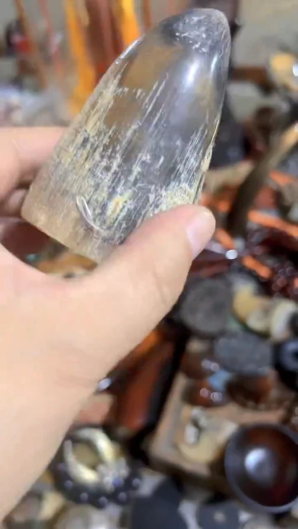 紫砂紫砂紫砂紫砂