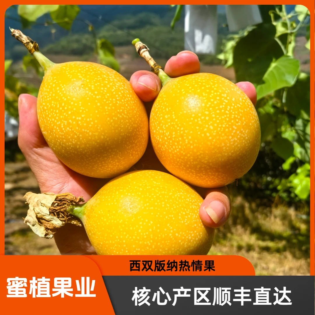 【顺丰速达】热情果西双版纳网红水果纯甜无酸超级划算