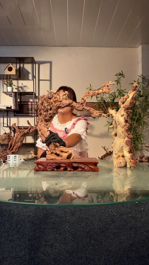 木支**功金丝红木F113