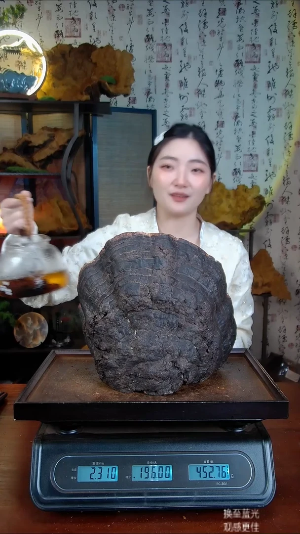 红缘拟层孔菌中国大陆【藏区 野生】红缘树舌（4.62斤）50-60年份