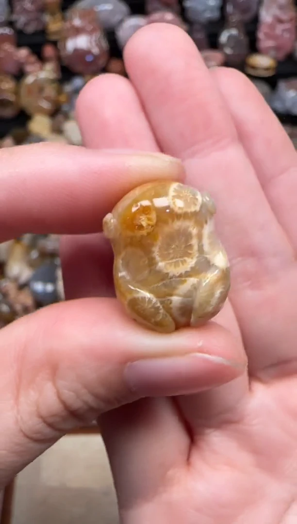 颈饰未镶嵌硅化珊瑚（珊瑚玉）292