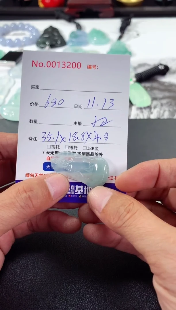 颈饰未镶嵌翡翠素衣