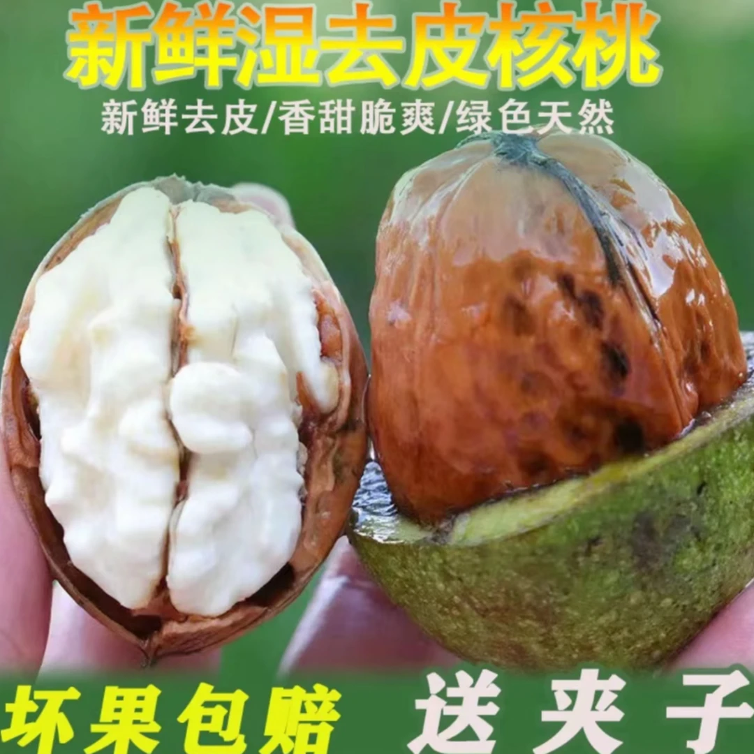 【高山老树核桃】云南高山去青皮湿核桃新鲜应季孕妇水果零食生吃