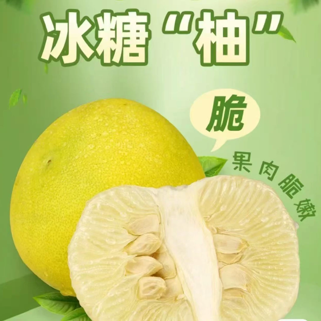 （中果 单果2-3斤）冰糖柚，脆甜爽口，当季新鲜水果