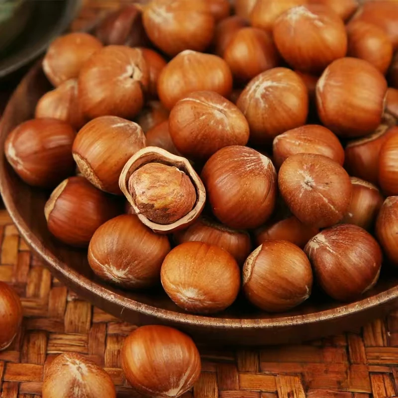 今年新货 新鲜烘烤东北大榛子