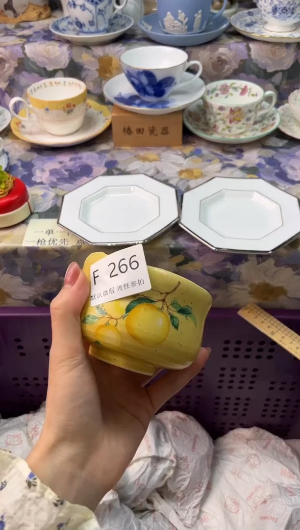 瓷片仙****伴瓷片瓷片      F  266