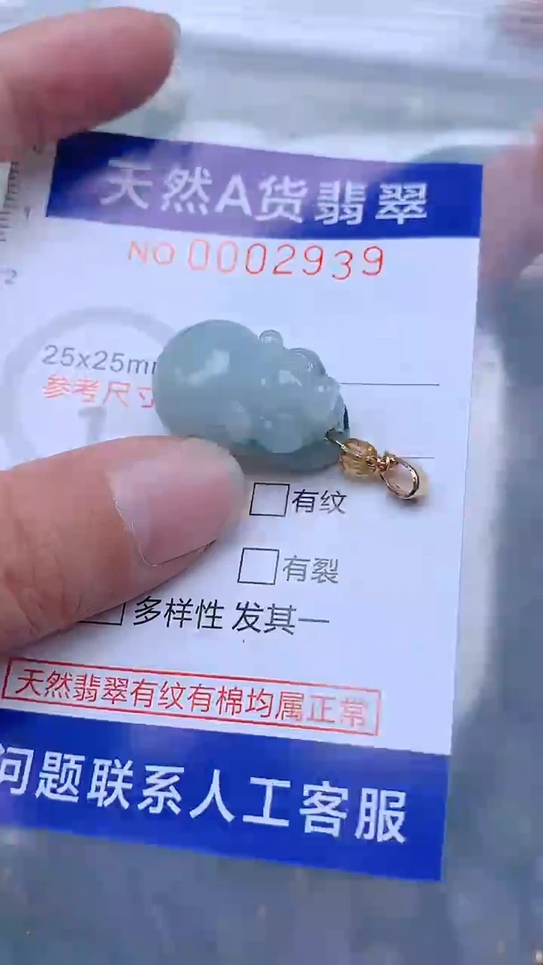 翡翠未镶嵌吊坠(不含链)1