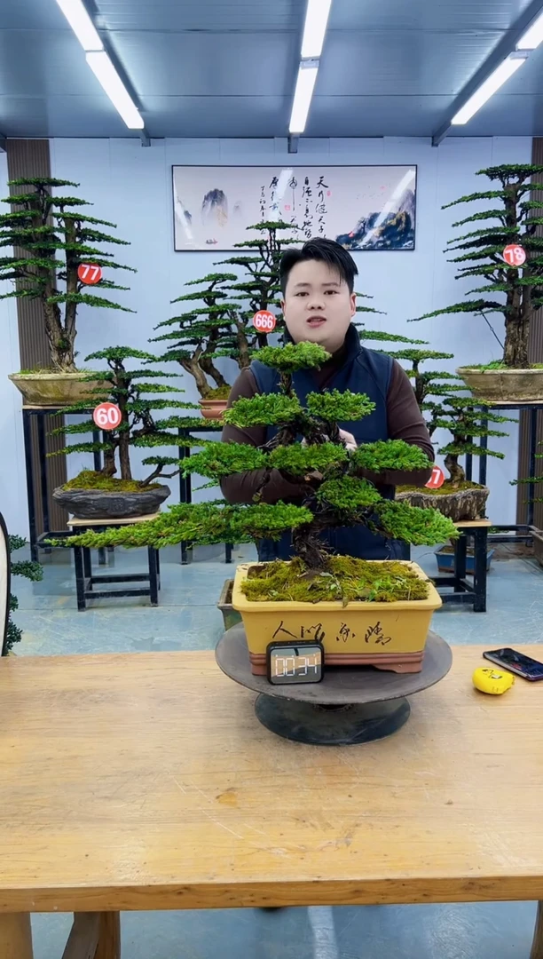 以实际为准00000