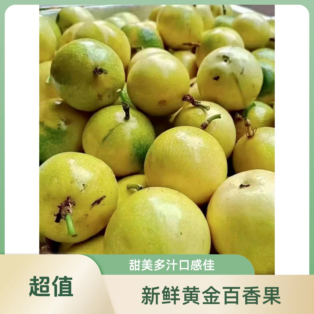 广西黄金百香果