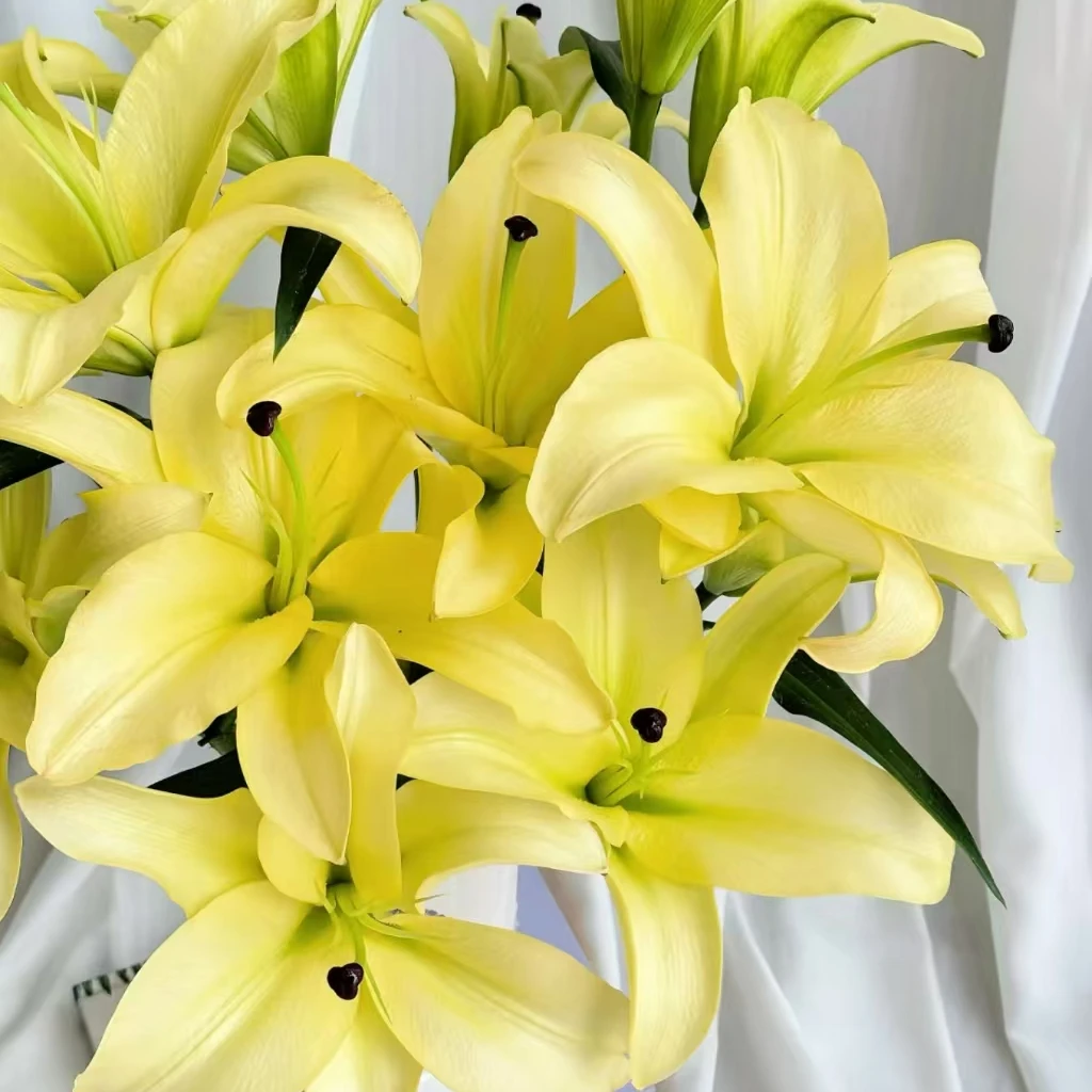 18/20【黄天霸带芽发货】香水百合种球，室内外都可种植好种好养