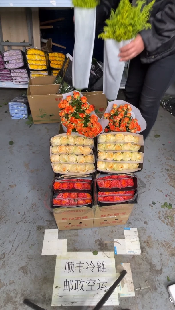 香槟20枝+火灵鸟20枝+橙色芭比10枝+黄莺