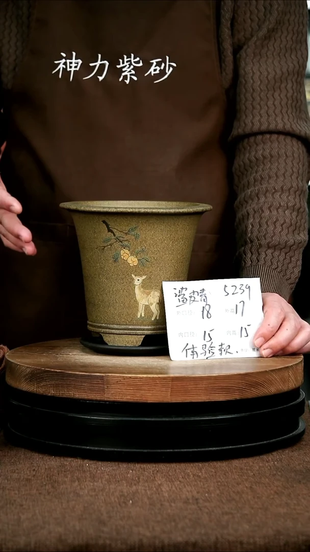 紫砂花盆花卉园艺5239+Z