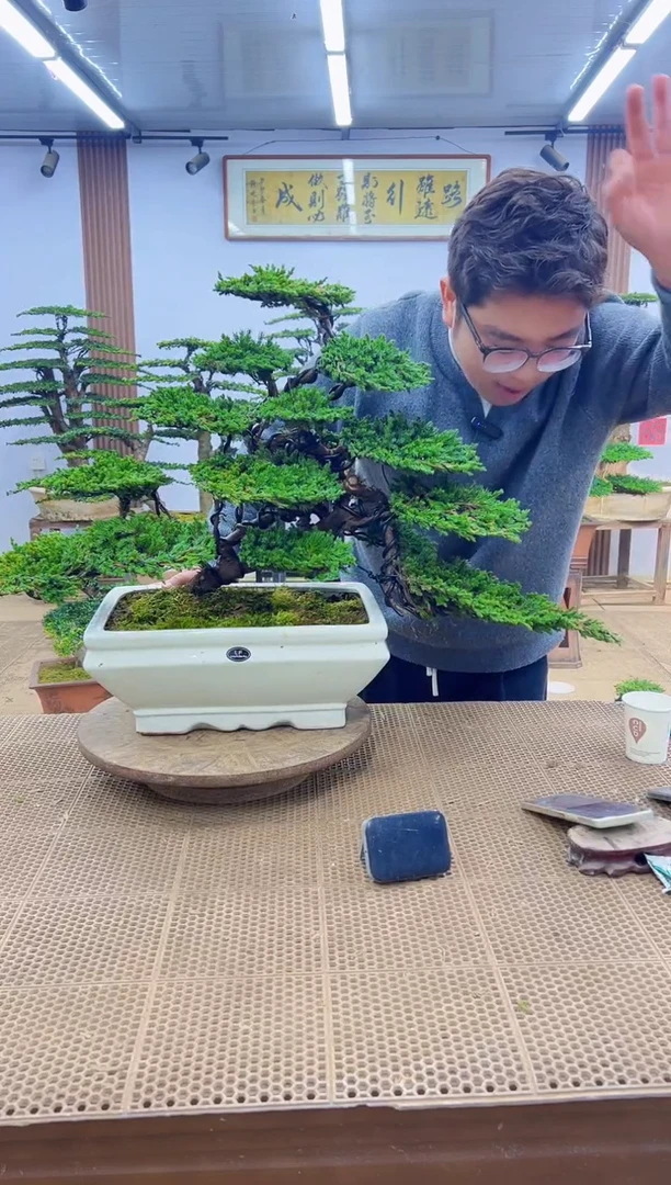 无花朵00000000000