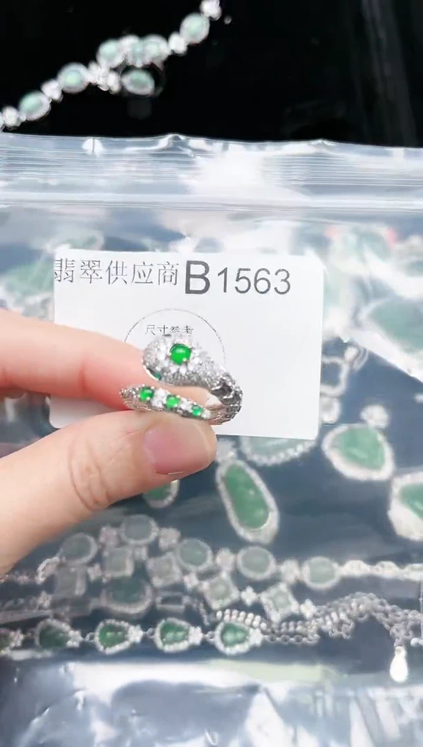 【闪购商品】翡翠颈饰未镶嵌1563赠皮绳