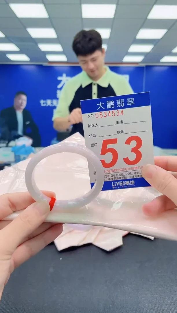 未镶嵌手镯翡翠AAAAAAAAA
