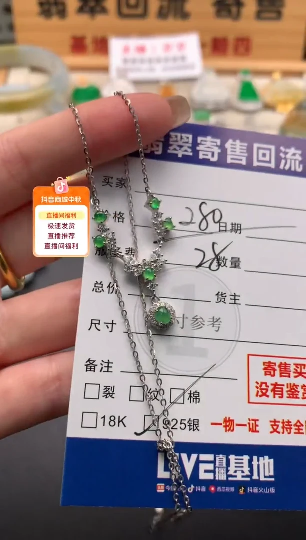 颈饰银S925镶嵌翡翠10146038