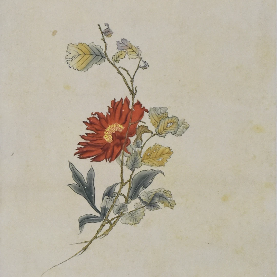 HM5073 溥老、罗老 花卉 123×34cm 纸本镜片