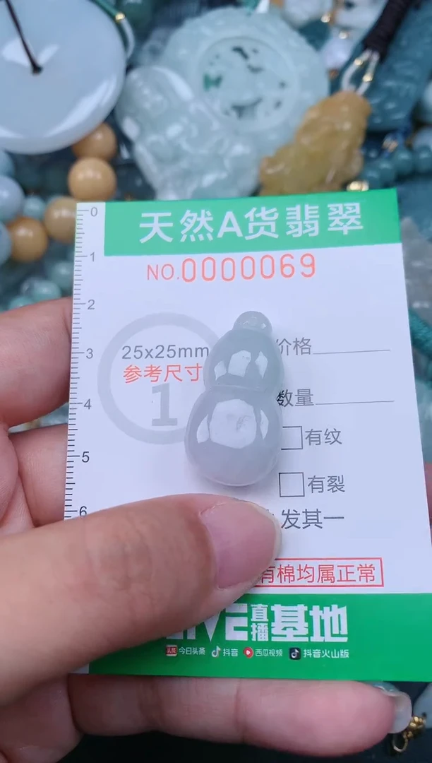 翡翠未镶嵌颈饰.0000069