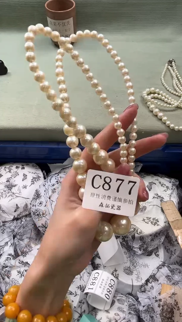 瓷片       C877