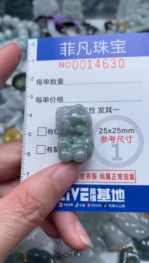 颈饰未镶嵌翡翠14630