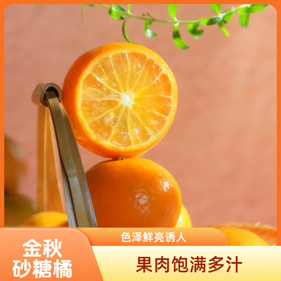 金秋砂糖橘当季新鲜水果当季直采皮薄多汁沙糖桔正宗沙糖桔