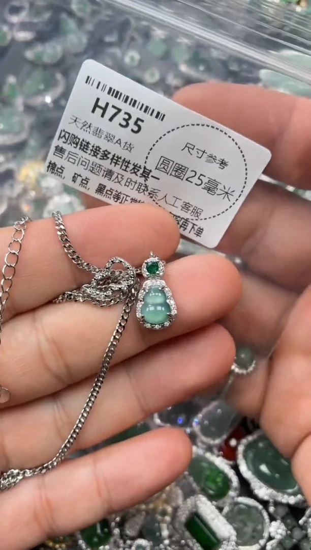 翡翠未镶嵌颈饰H735项链