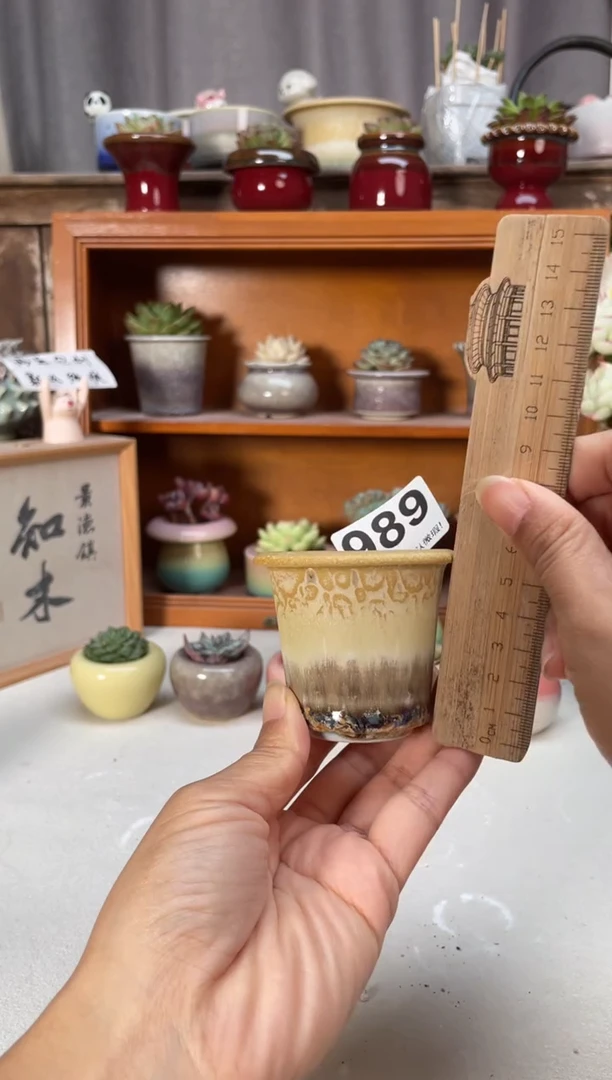 瓷片989小芳直播编号