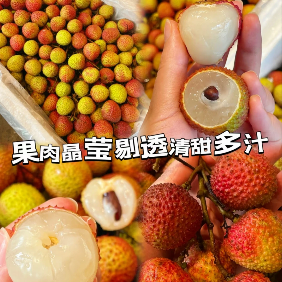 【白糖罂荔枝】新鲜到货约1~3斤/份其它