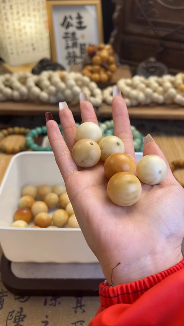 【闪购商品】菩提根/象牙果手串卡23圆珠6颗默认瑕疵福利540