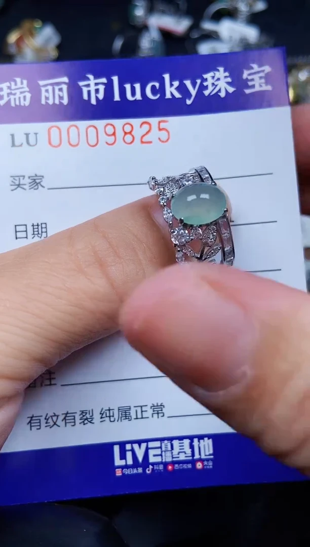 翡翠银S925镶嵌颈饰9825