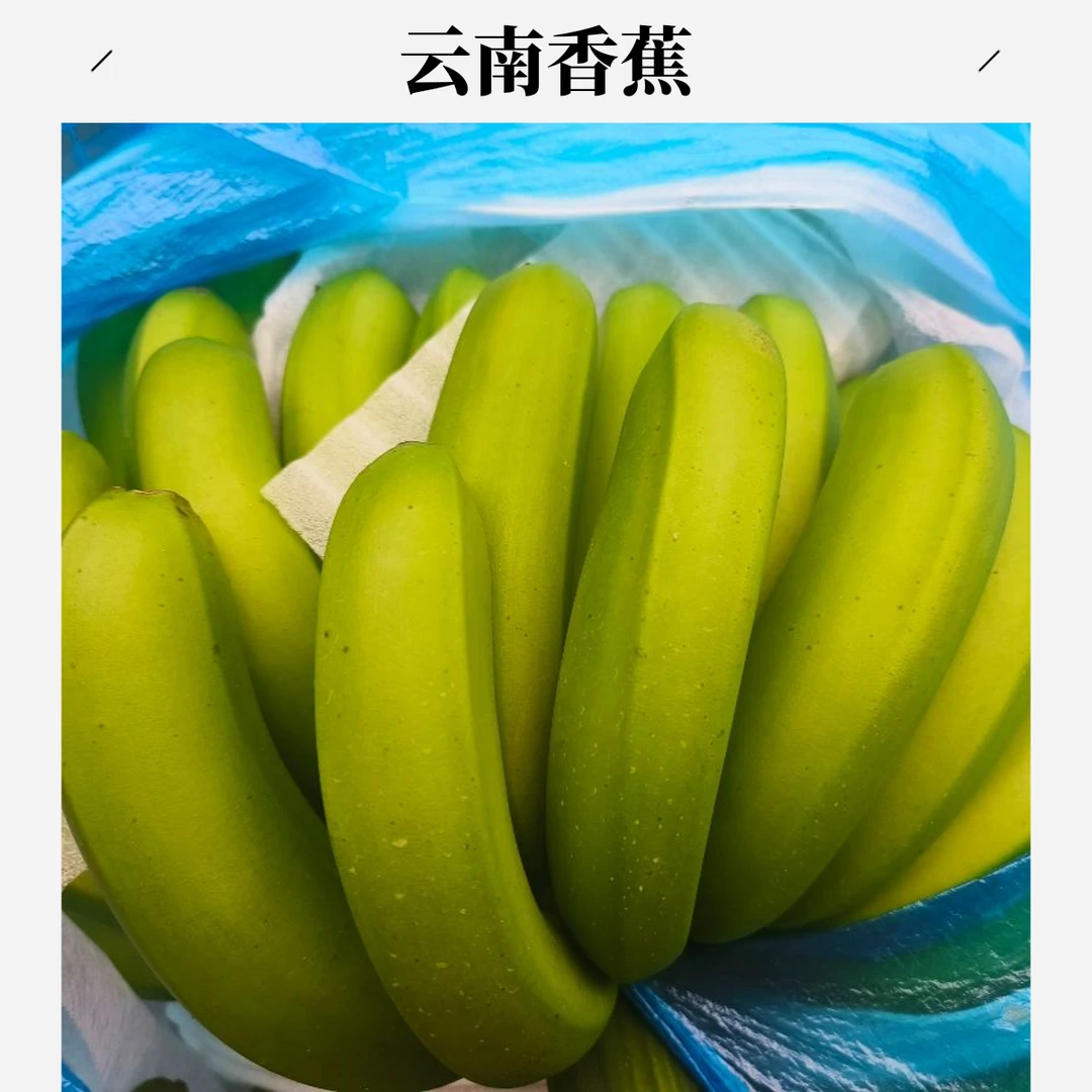 精品果9斤】云南高山香蕉新鲜应季水果香甜软糯无保鲜剂需自行催熟