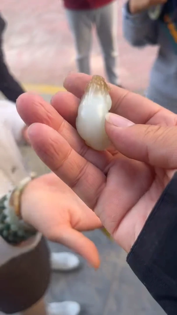 颈饰未镶嵌和田玉吊坠