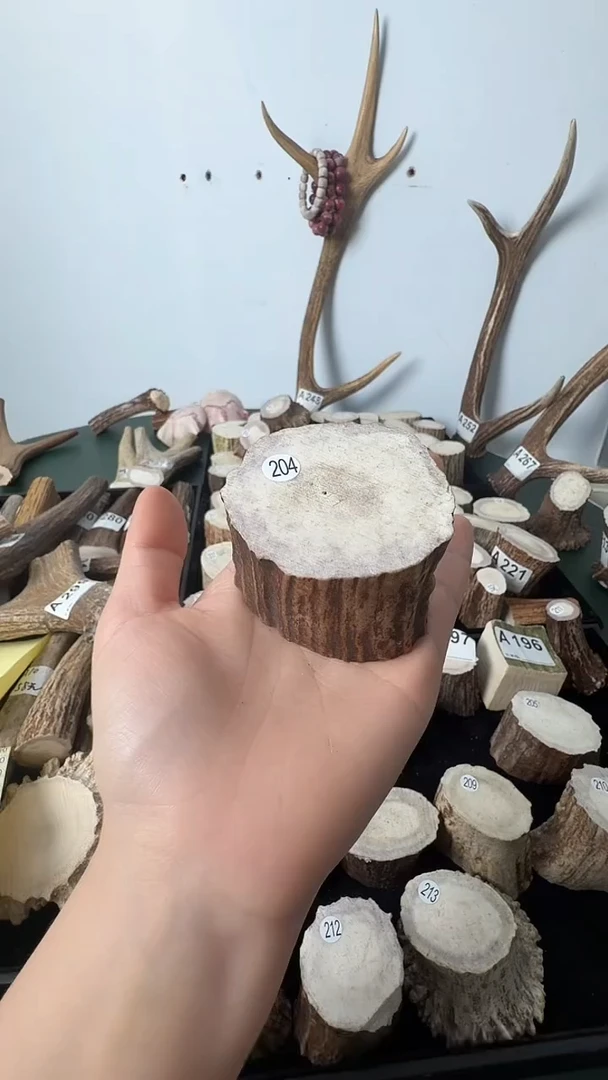 原皮鹿角雕刻料高密度