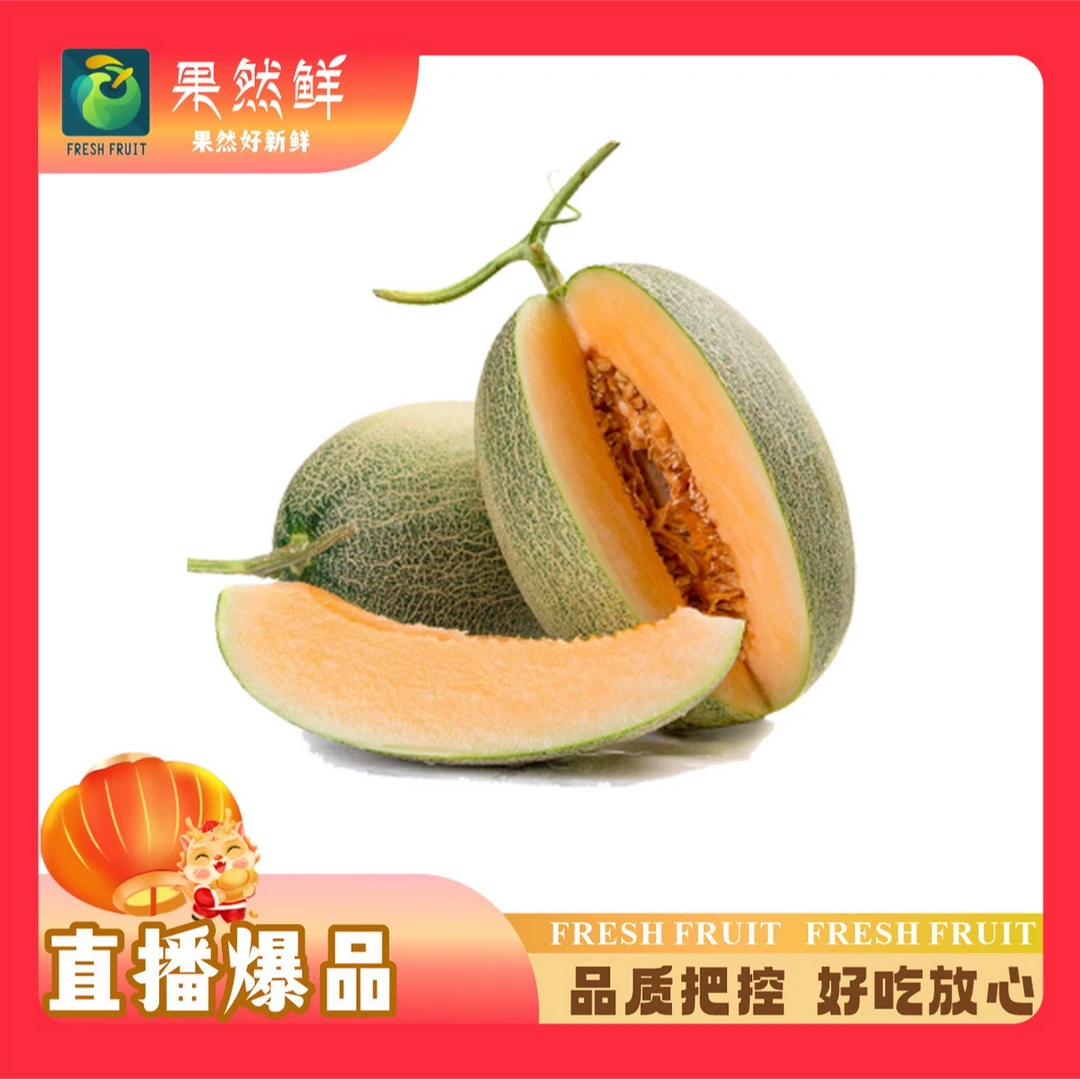 沙地小蜜(哈密瓜)-1个(约2.8-3.5斤)