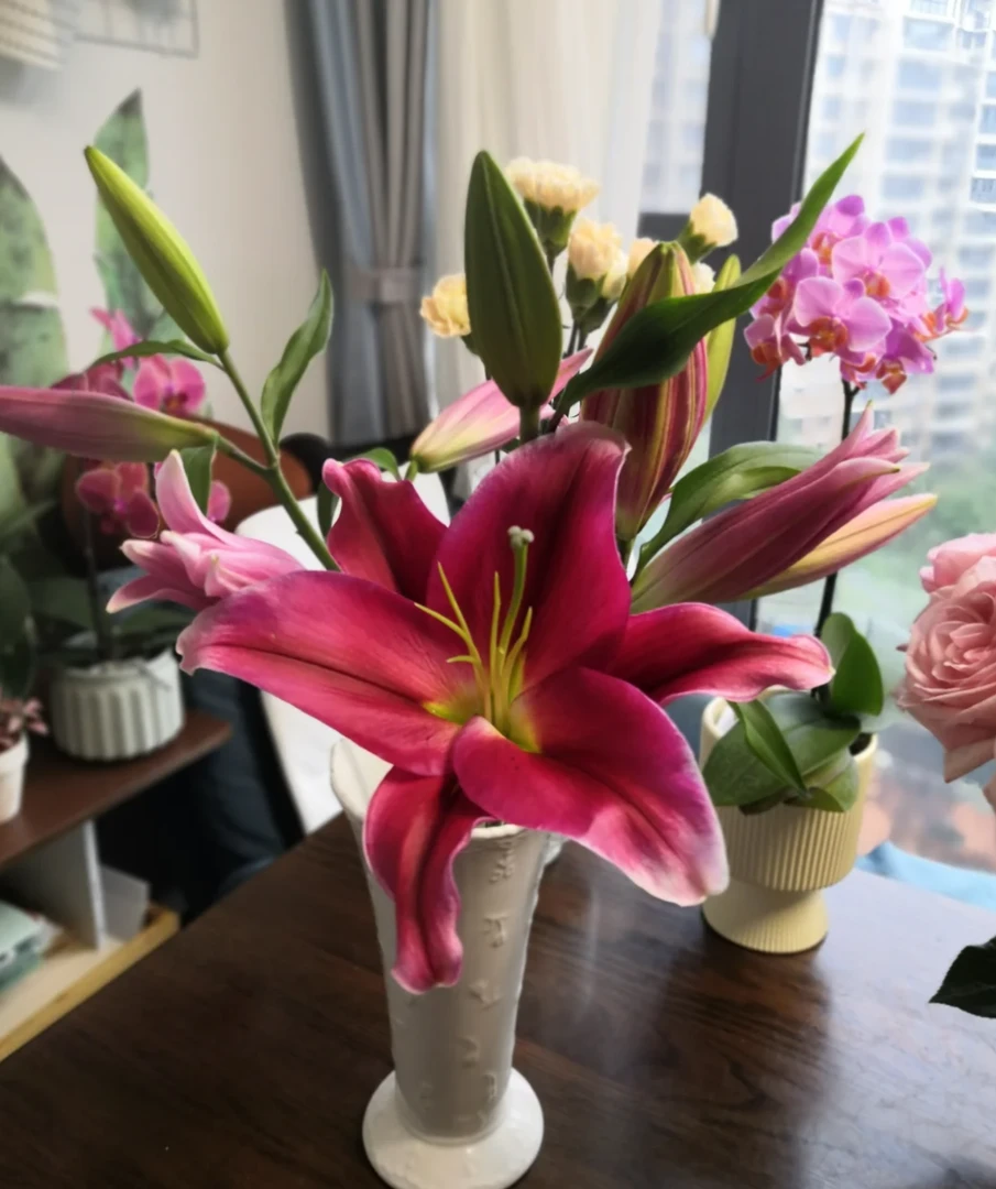 【大聪明卖花】爱情小镇香水百合花家居插花鲜花直播卖花花束云南
