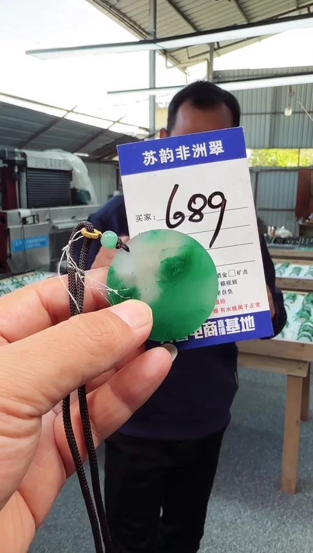 吊坠(赠链)未镶嵌石英质玉（非洲翠）8