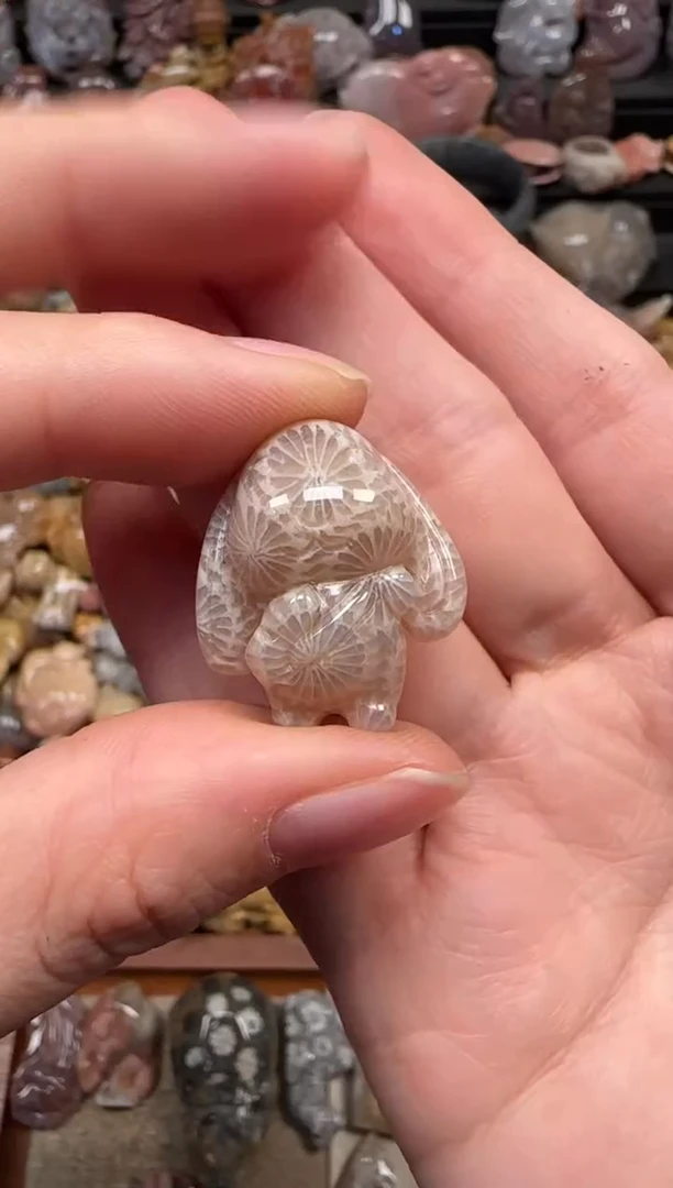 颈饰未镶嵌硅化珊瑚（珊瑚玉）120