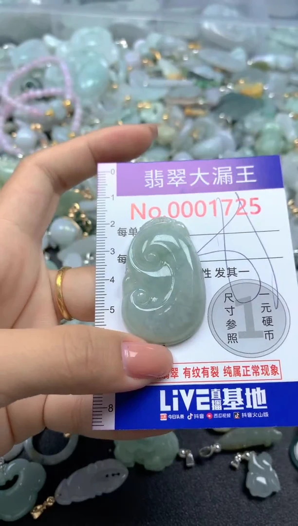 颈饰未镶嵌翡翠1725