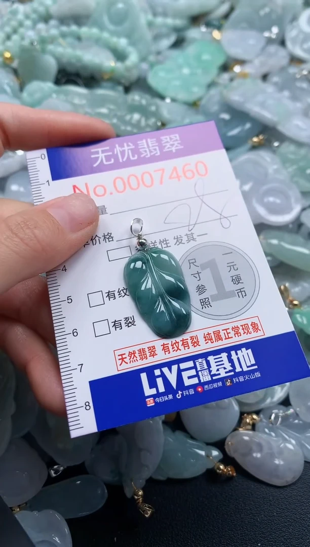 颈饰未镶嵌翡翠7460